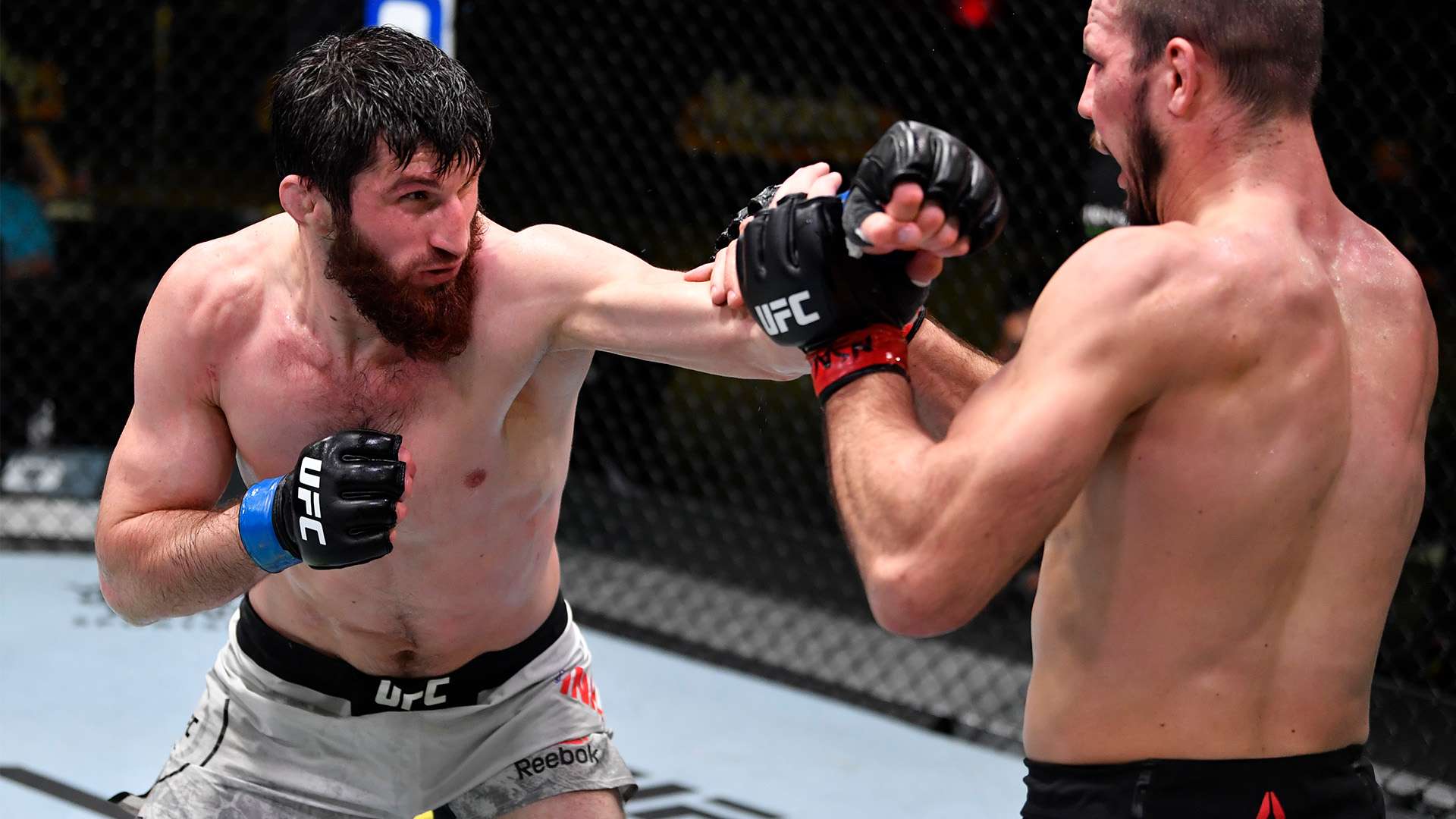 马竞终止免费租借费利克斯给巴萨，续租费用定为1500万欧元